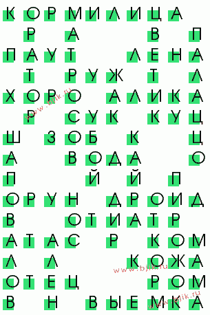 сканворд 648