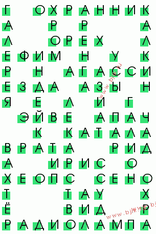 сканворд 728