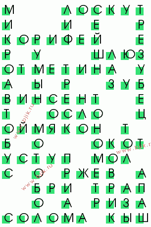 сканворд 767