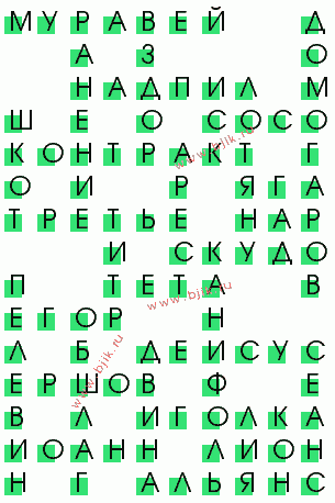 сканворд 768