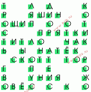 сканворд 80