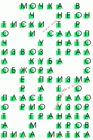 сканворд 804