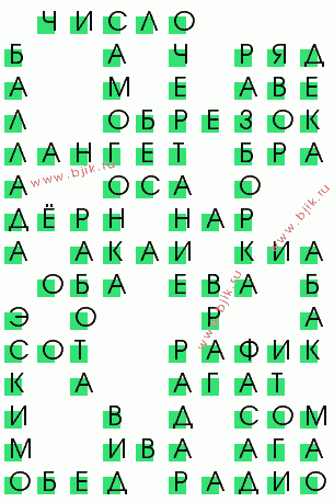сканворд 807