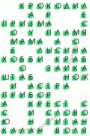 сканворд 816