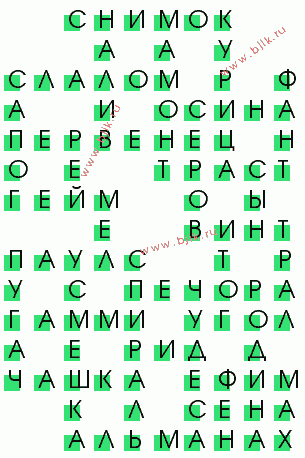 сканворд 869