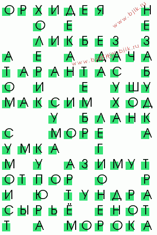 сканворд 881