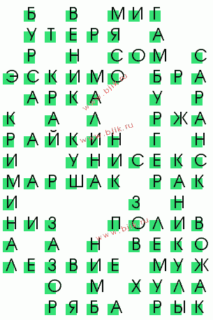 сканворд 885