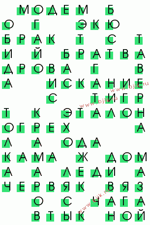 сканворд 903