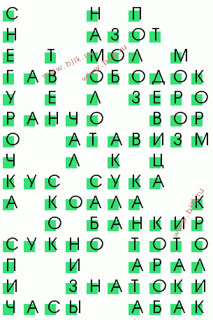 сканворд 907