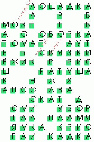 сканворд 909