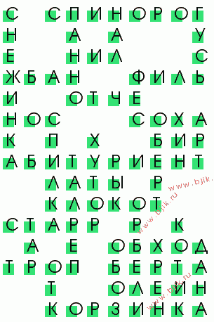 сканворд 919