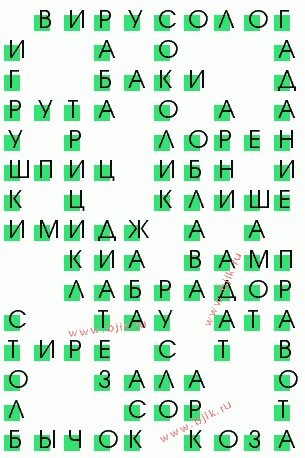 сканворд 928