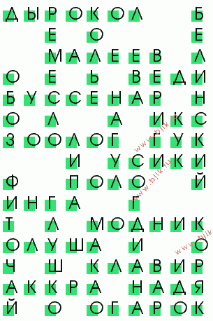 сканворд 1214