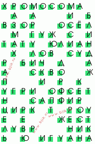 сканворд 1255