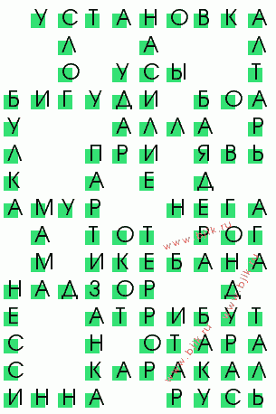 сканворд 1344