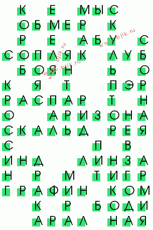 сканворд 1436