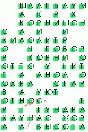 сканворд 1538
