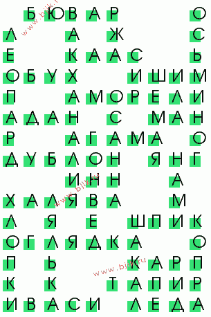 сканворд 975