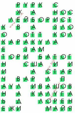 сканворд 978