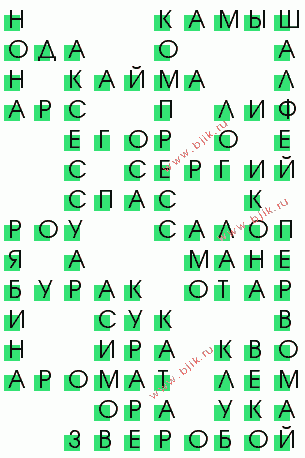 сканворд 980