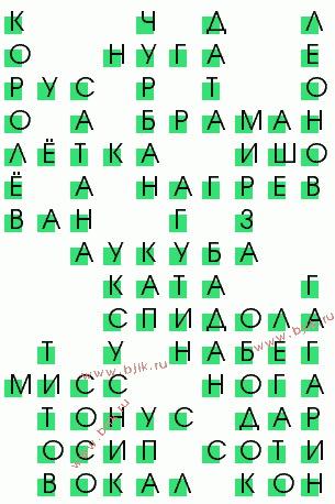 сканворд 990