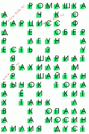 сканворд 996