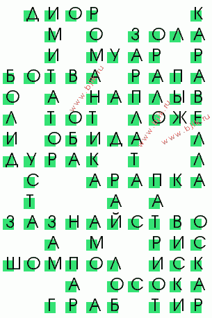 сканворд 1863