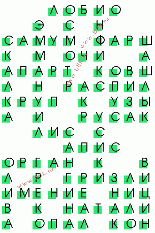 сканворд 2009