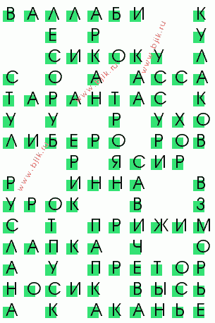 сканворд 2322