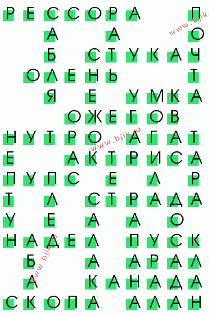 сканворд 2423