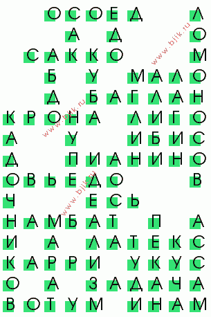сканворд 2426