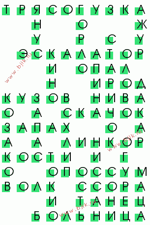 сканворд 2526