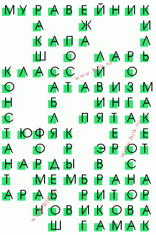 сканворд 2557