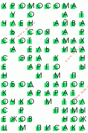 сканворд 2805