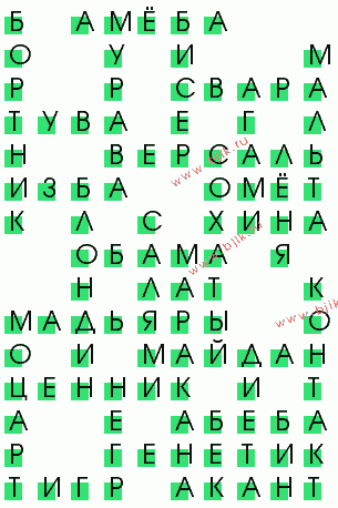 сканворд 2895