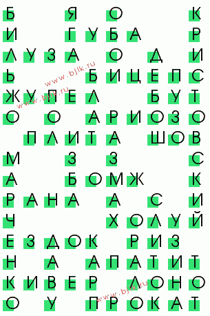 сканворд 3019