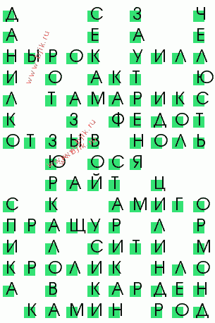 сканворд 3055