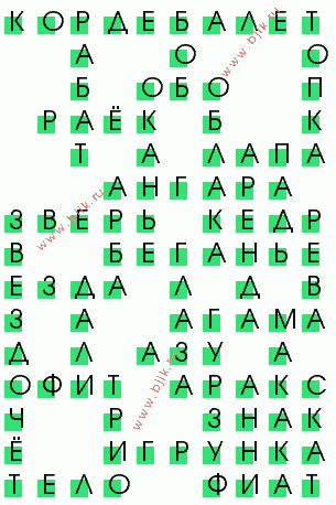 сканворд 3381