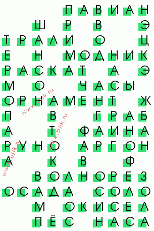 сканворд 3392