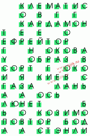 сканворд 3538