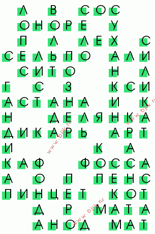 сканворд 3805