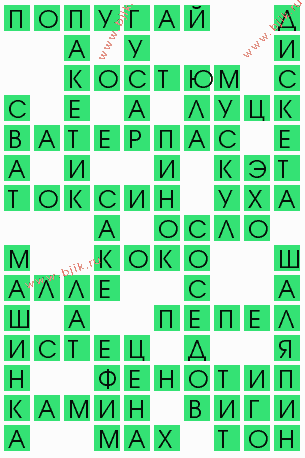 сканворд 4096