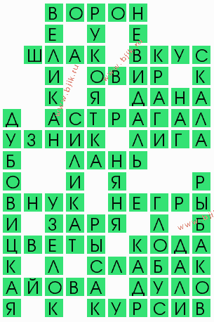 сканворд 4131