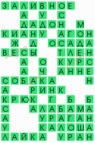 сканворд 4221