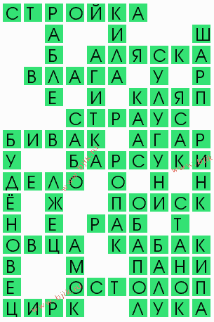 сканворд 4453