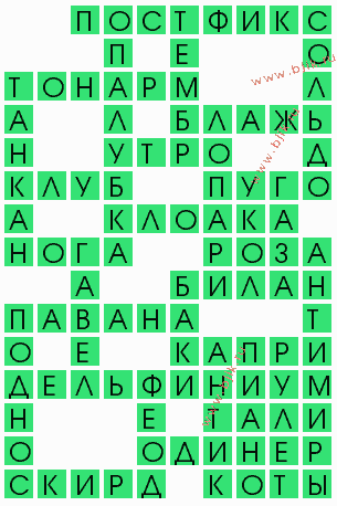 сканворд 4492