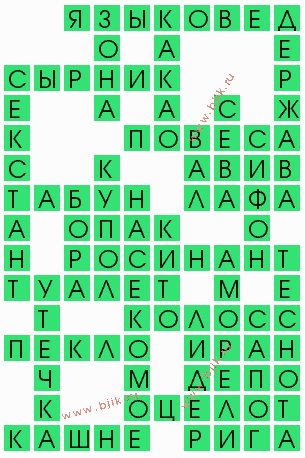 сканворд 4537