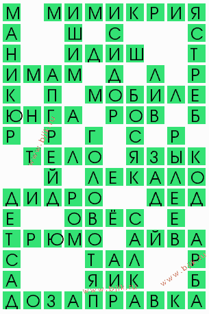 сканворд 4881