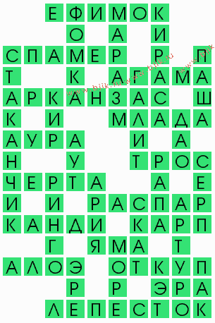 сканворд 4982