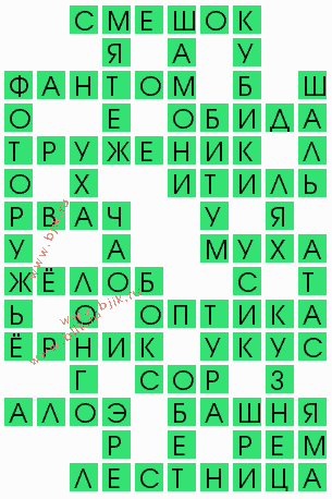 сканворд 5437